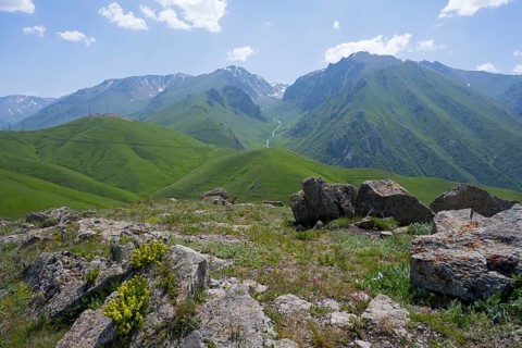 Green hills and mountains with flowers and rocks under a clear blue sky, at the highest pass in