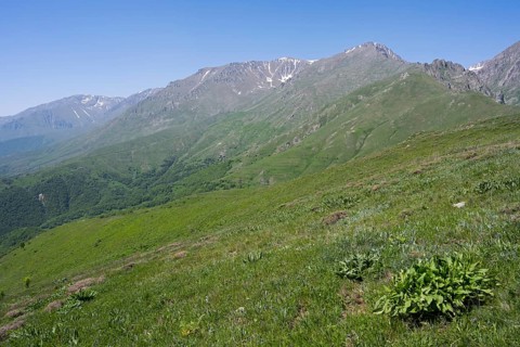 Wide green hills in front of a blue sky and rocky mountains, at the highest pass of Armenia, Meghri