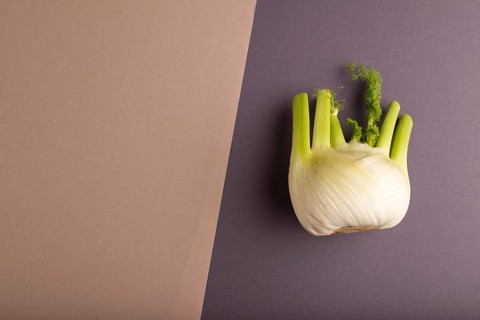 Fresh Fennel bulb on brown and gray pastel paper background, top view, flat lay, copy space,