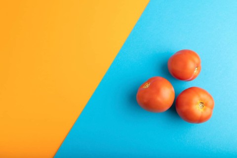 Red tomato on blue and orange pastel paper background. Top view, flat lay, copy space. healthy
