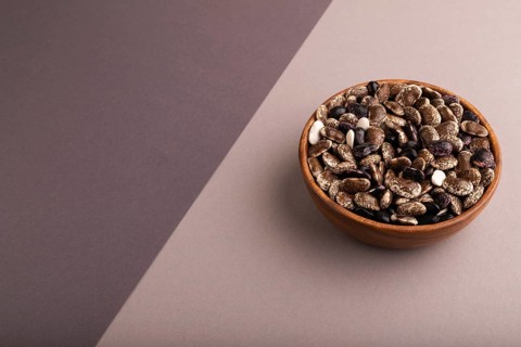 Wooden bowl with Kidney beans on beige and gray pastel paper background, side view, copy space,