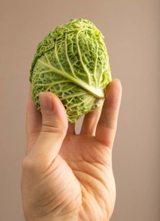 Green lettuce with hand on beige pastel paper background. Side view, copy space, flat lay. healthy