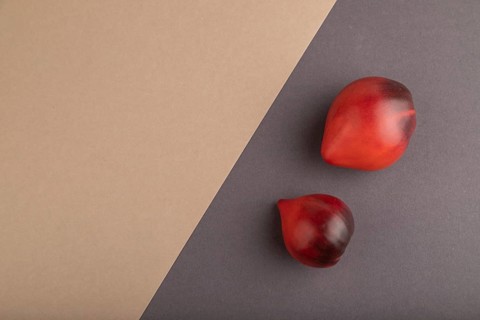 Red Heart shape tomatoes on gray and beige pastel paper background. Top view, copy space, flat lay.