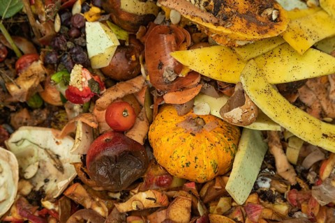 Compost pile made of organic food, leaves, vegetable and fruit Waste mix, Zero waste and Eco