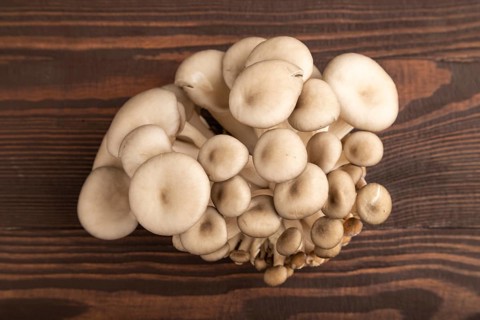 Raw Oyster mushroom, Pleurotus ostreatus on brown wooden background. Top view, flat lay, close up,