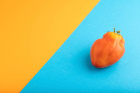 Red Heart Shape tomato on blue and orange pastel paper background. Side view, copy space. healthy