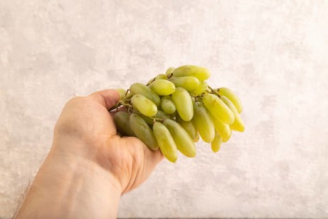 Green grapes on gray concrete background. Side view, copy space. healthy food, minimalism