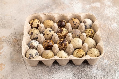 Pile of Raw Quail eggs on a brown concrete background. side view, close up