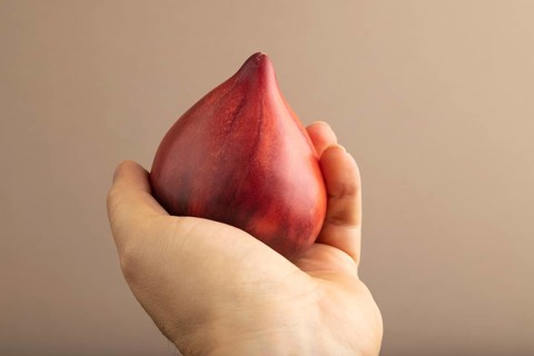 Red Heart shape tomatoes with hand on beige pastel paper background. Side view, copy space. healthy