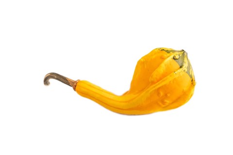 Decorative orange Pumpkin isolated on white background, side view, close up, minimalism
