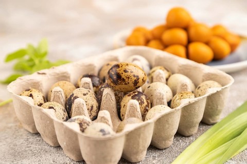 Pile of Smoked Quail eggs on plate on a brown concrete background. side view, close up, selective