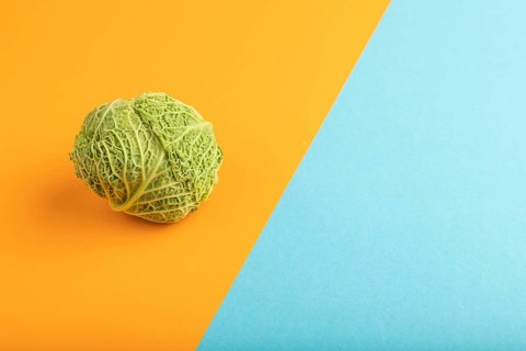 Green lettuce on blue and orange pastel paper background. Side view, copy space. healthy food,