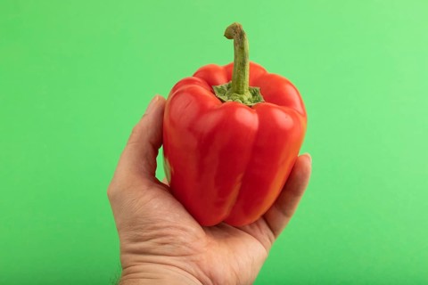 Hand holding Red pepper on green pastel background. Side view, copy space. healthy food, vegetable,