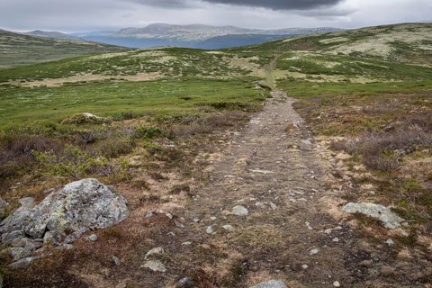 Olav's Way or Olavsleden pilgrimage route, old Kongevegen or King's Road over Dovrefjell, Norway