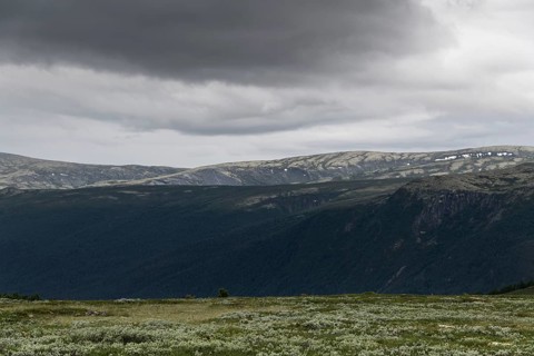 Fjell landscape, pilgrimage route Olavsweg or Olavsleden, old Kongevegen or King's Road across