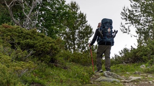 Pilgrims with heavy rucksacks, pilgrimage route Olavsweg or Olavsleden, old Kongevegen or King's