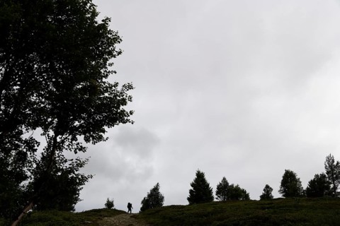 Silhouette of a pilgrim in the distance, trees, pilgrimage route Olavsweg or Olavsleden, old