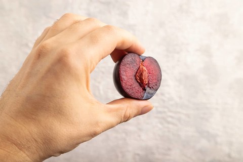 Purple Plum Cut in half with hand on gray concrete background. Side view, close up. healthy food,