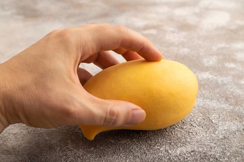 Orange mango with hand on concrete background. Side view, copy space. healthy food, minimalism
