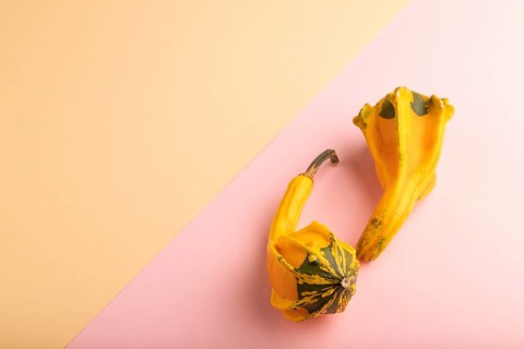 Two decorative orange Pumpkins on pink and orange pastel paper background, side view, copy space,