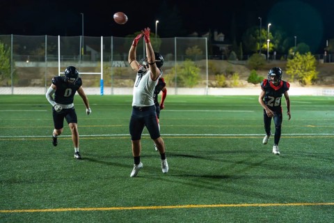 American football players are competing on a green field at night, a receiver is jumping mid air