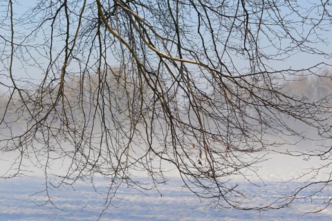 Winterlandschaft, aufsteigender Bodennebel im Licht der Morgensonne, Nordrhein-Westfalen,