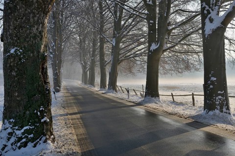 Wintertag, Baumallee bei winterlichen Straßenverhältnissen, Nordrhein-Westfalen, Deutschland