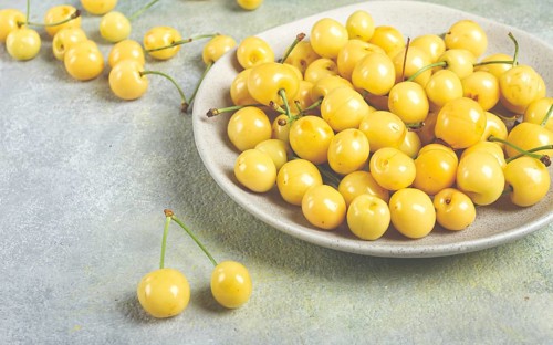 Yellow cherry, cherry berry, scattered on a plate, top view, no people