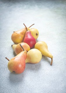 Small pears, Duchess variety, scattered on the table, top view, no people