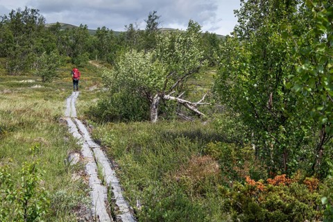 Pilger mit rotem Rucksack auf einem durch Holzplanken befestigen Weg, der über das Fjell führt,