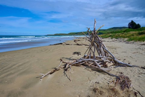 Treibholzform Zelt am naturbelassenen Strand mit Blick auf Meer und Himmel, Kaka Point, Clutha