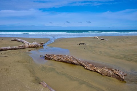 Sandiger Strand mit Treibholz und Blick auf das entspannte Meer und den blauen Himmel, Kaka Point,