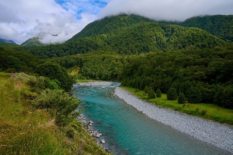 Ein klarer Fluss schlängelt sich durch eine grüne Waldlandschaft mit Bergen im Hintergrund unter