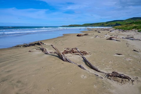 Ruhiger Strand mit Treibholz unter blauem Himmel und beruhigendem Meer, Kaka Point, Clutha