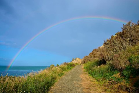Ein Regenbogen spannt sich über einen Küstenpfad am Meer entlang, Moeraki, Hampden, North Otago,