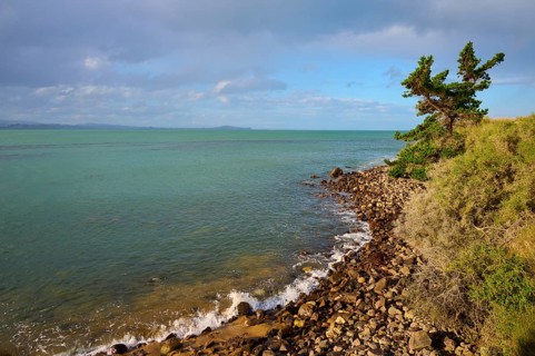 Felsen säumen die Küste, an der sich das Meer mit Bäumen mischt, Moeraki, Hampden, North Otago,