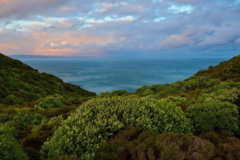 Blick auf das Meer zwischen grünen Hügeln unter einem bewölkten Abendhimmel, Nugget Point, Ahuriri