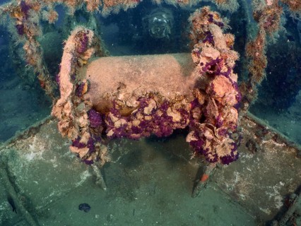 Winch on a wreck, overgrown with algae and sea life. Dive site wreck of the Vis, Pula, Croatia,
