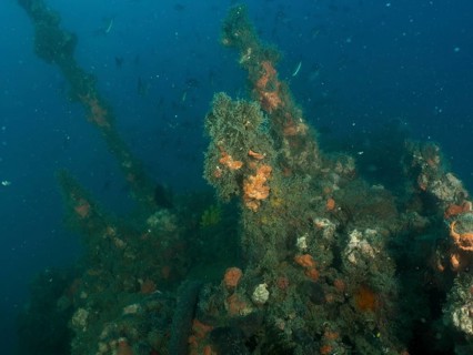 The superstructure of a shipwreck overgrown with algae and sponges in the deep ocean. Dive site