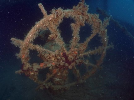 The steering wheel of an old wreck covered in darkness and overgrown with algae. Dive site wreck of