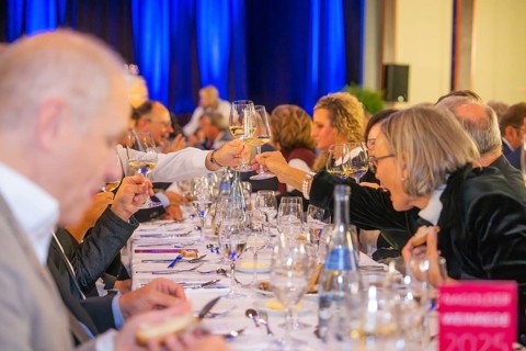 Festive atmosphere with toasting guests at a dinner