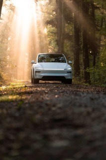 An SUV on a forest floor, illuminated by rays of light, surrounded by trees and natural