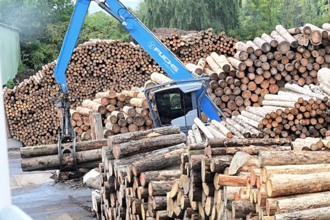 Wood storage and mechanical log transport on the premises of Energie-Mann in the Westerwald. Wood