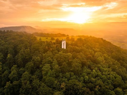 A white tower stands in a forest at sunset in the soft light, Schönbergturm, Pfullingen, Swabian