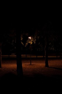 Night shot of a street lamp standing between trees in the Herrenhausen Gardens, Herrenhausen,