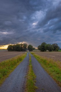 View along a country lane across fields to a dramatic sky in the evening light, Husum, Nienburg,