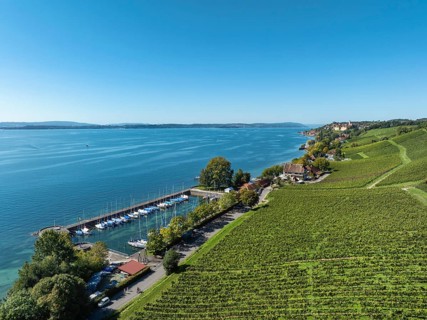 Aerial view, vineyard, vineyard slope at the historic Haltnau winery near Meersburg, on the left