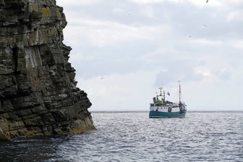 Turquoise boat on open sea near rocky cliffs, cloudy sky, Isle of Noss, Shetland Islands, Scotland,