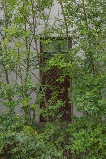 View of a door where the entrance area is overgrown, Wietzen, Nienburg, Lower Saxony, Germany