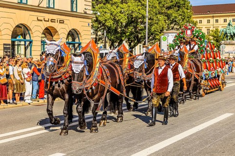 Splendid team of the Spaten brewery, traditional traditional costume and marksmen's procession,